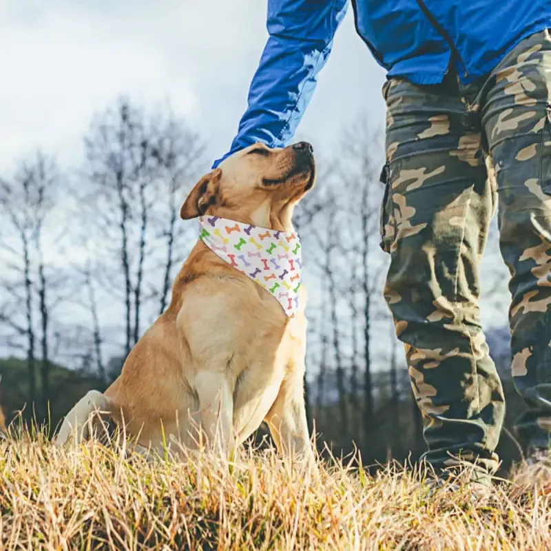 Colorful Bones Pet Scarf for Dogs with Fun Bone Pattern