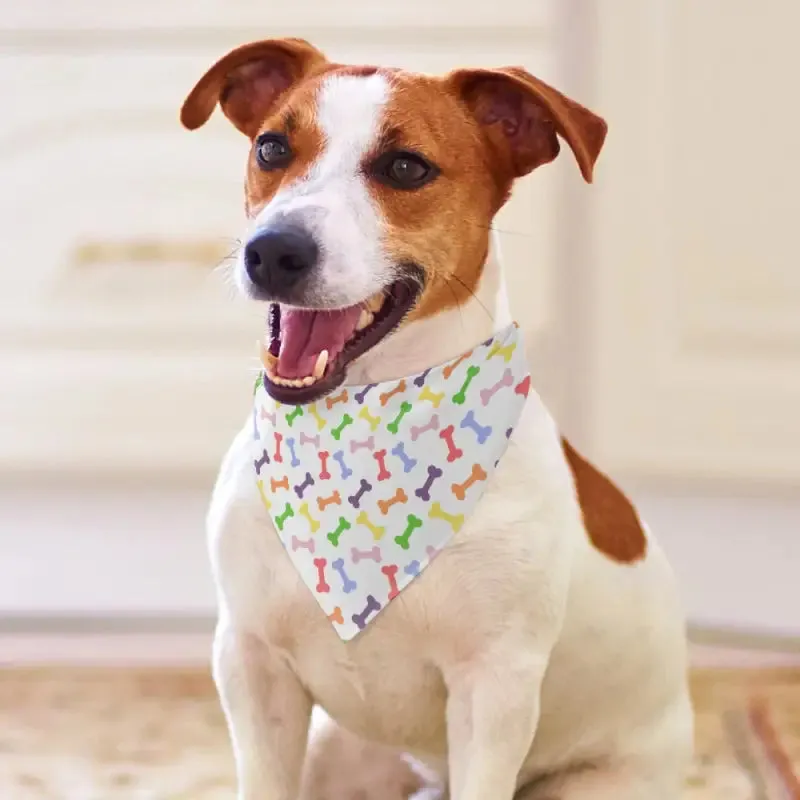 Colorful Bones Pet Scarf for Dogs with Fun Bone Pattern