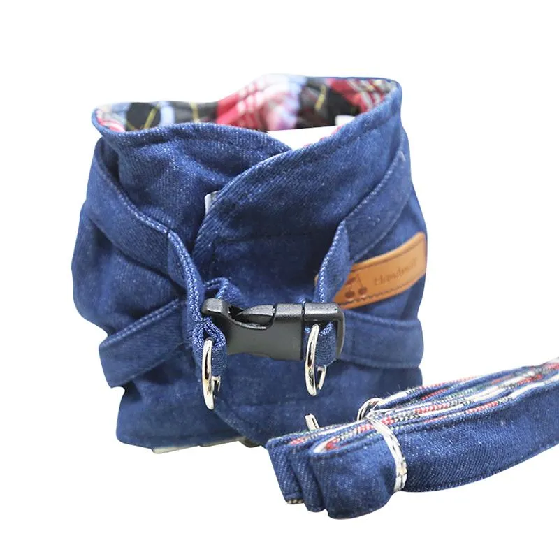 Cool Dog Vest Leash Set