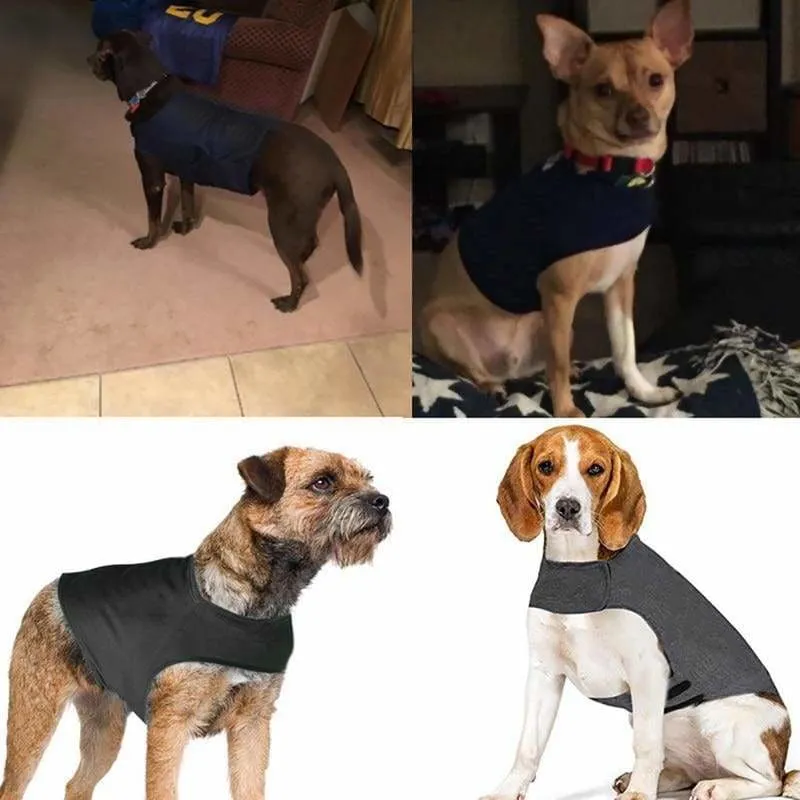 Dog Anti Anxiety Vest