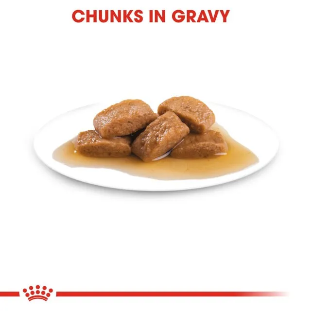 Royal Canin Maxi Adult Gravy