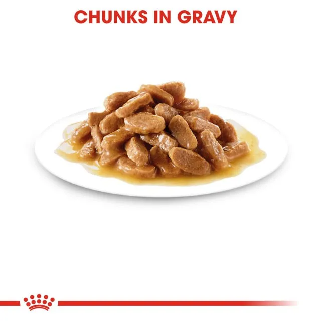 Royal Canin Maxi Puppy Gravy