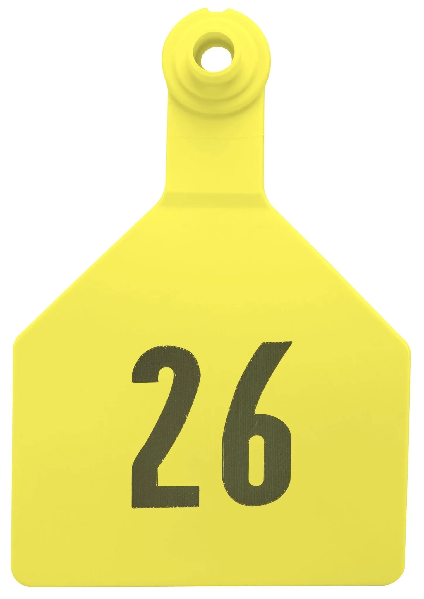 Z2 2-Piece Numbered Maxi Tag, Yellow